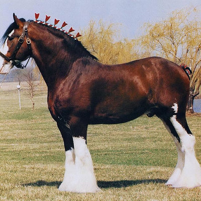 Timeline: My Timeline