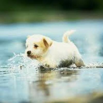 Timeline: Katie Ball5A