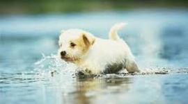 Timeline: Katie Ball5A