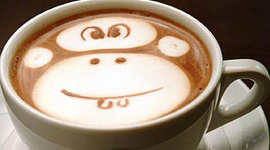 Timeline: Savannah's Life