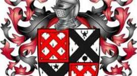 Timeline: The Life and Times of Claudia Valastro