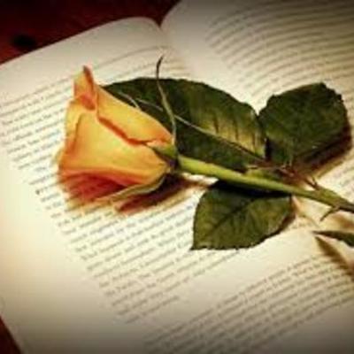 Timeline: Suite´s Offimaticas