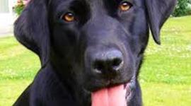 Timeline: My life!!!