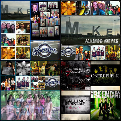 Timeline: 5B Allison Meyer - Timeline