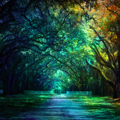 Timeline: Arley's Timeline Events