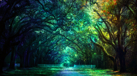 Timeline: Arley's Timeline Events