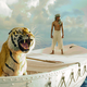 Life of pi1
