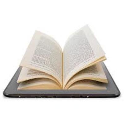 Timeline: Liesel Meminger