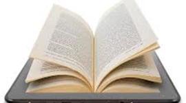 Timeline: Liesel Meminger