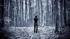 Timeline: Danaye's mysterious and beautiful life