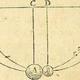 Newtontlpic