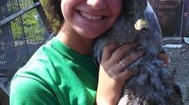 Timeline: The Great Adventures of My Life