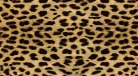 Timeline: unit 3 key terms