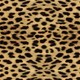 Cheetah print credit debit card holder f8fb6863