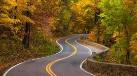 Timeline: Olivia's Life Journey