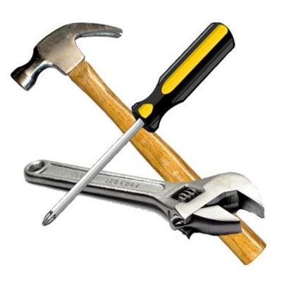 Timeline: Aleeah's life