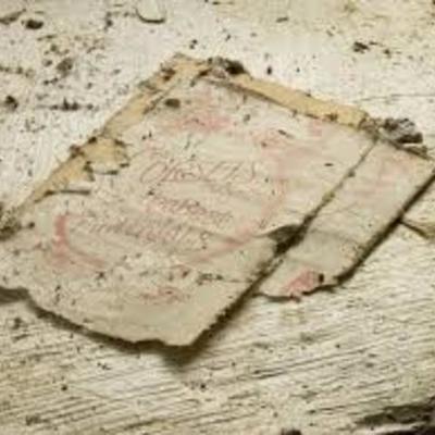 Timeline: Key terms project