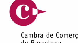 Timeline: PROJECTE ICASAP