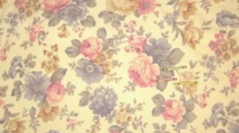 Timeline: Caroline's Personality Timeline