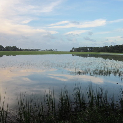 Timeline: Patrick's timeline