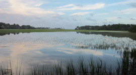 Timeline: Patrick's timeline