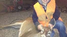 Timeline: Andrews Timeline