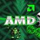 Amd