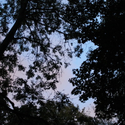 Timeline: Our Production Schedule