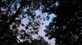 Timeline: Our Production Schedule