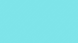 Timeline: Timeline Of Personal Life