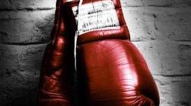 Timeline: Boxing Champions 2014