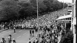 Timeline: Betty Williams Birth to Now