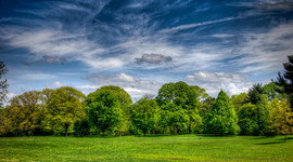 Timeline: Amelia's Timeline