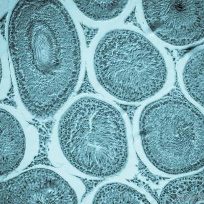 Timeline: Carolyn's Timeline