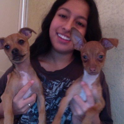 Timeline: linea del tiempo