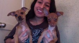 Timeline: linea del tiempo