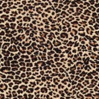 Timeline: La Vida de Margarita Fausel