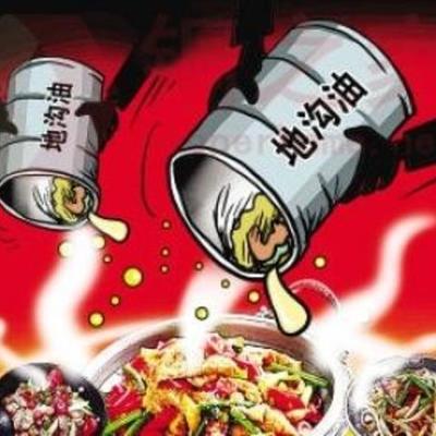 Timeline: Gutter Oil Incident