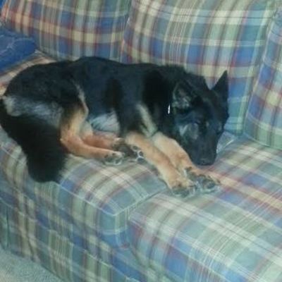 Timeline: Taryn's Timeline