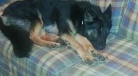 Timeline: Taryn's Timeline