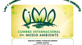 Timeline: LAS 7 CUMBRES MÁS DETERMINANTES DEL MEDIO AMBIENTE