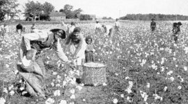 Timeline: slavery and the events leading up to the civil war