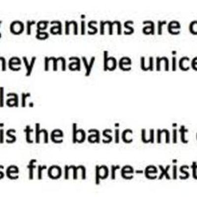 Timeline: Rys Cell Theory Timeline