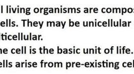 Timeline: Rys Cell Theory Timeline