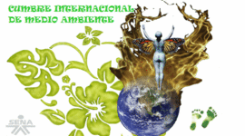 Timeline: "CUMBRES INTERNACIONALES DEL MEDIO AMBIENTE"  ( " - " )