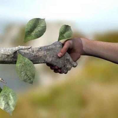 Timeline: CUMBRES DEL MEDIO AMBIENTE