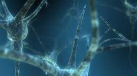 Timeline: ben carson