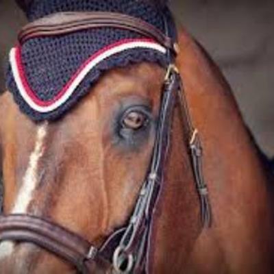 Timeline: hickstead life