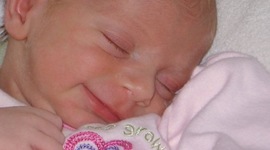 Timeline: Olivia LaCorte