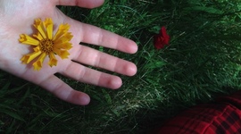 Timeline: Mi vida en una linea por Willow